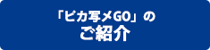 「ピカ写メGO」のご紹介